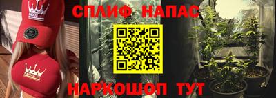сатива Кинель
